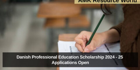 Danish Professional Education Scholarship 2024 - 25 Applications Open