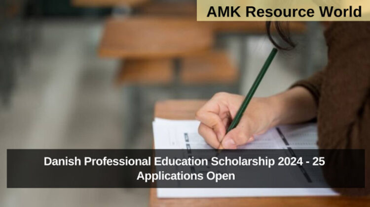 Danish Professional Education Scholarship 2024 - 25 Applications Open