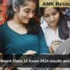 Assam Board Class 12 Exam 2024 results announced, Check your marks