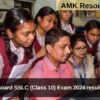 Tamil Nadu Board SSLC (Class 10) Exam 2024 results announced