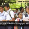 CBSE Class 10 & 12 Previous Exam papers 2024 released