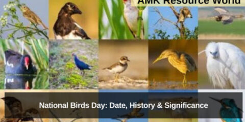 National Birds Day