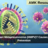 Human Metapneumovirus (HMPV)