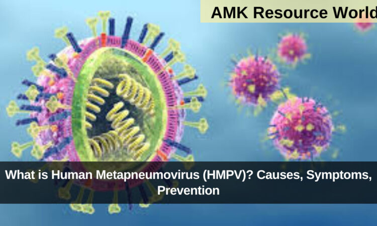 Human Metapneumovirus (HMPV)