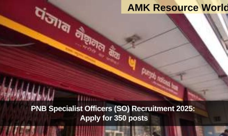 PNB Specialist Officers (SO) Recruitment 2025: Apply for 350 posts