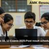 CBSE Class 10, 12 Exams 2025:Post result schedule released