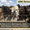 Australia Lifts Ban on U.S. Beef Imports, Seeks Tariff Leverage Amid Partisan Tensions in Parliament