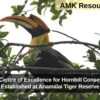 India’s First Centre of Excellence for Hornbill Conservation to Be Established at Anamalai Tiger Reserve