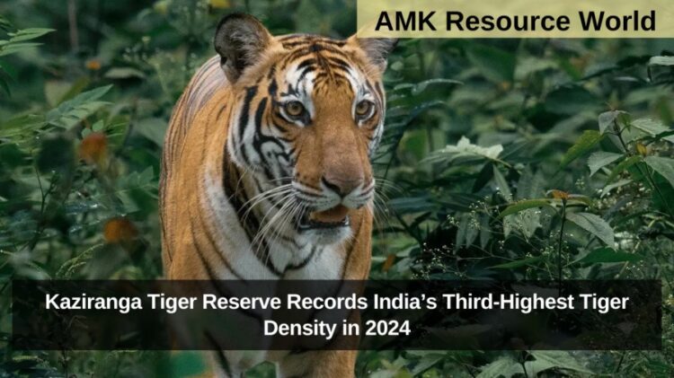 Kaziranga Tiger Reserve Records India’s Third-Highest Tiger Density in 2024