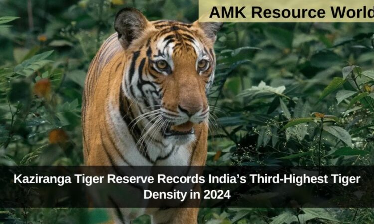 Kaziranga Tiger Reserve Records India’s Third-Highest Tiger Density in 2024