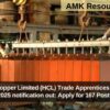 Hindustan Copper Limited (HCL) Trade Apprentices Recruitment 2025 notification out: Apply for 167 Posts