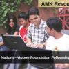 United Nations–Nippon Foundation Fellowship 2026