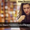 United Nations–Nippon Foundation Fellowship 2026: Apply Now