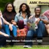 Max Weber Fellowships 2025