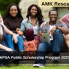 APSA Public Scholarship Program 2025